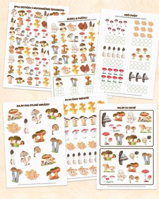 🍄 Hravá houbová výzva pro malé mykology! 🍄 🌲 Už jste byli na houbách? A umíte je poznávat? 🧐 Připravili jsme dětem...