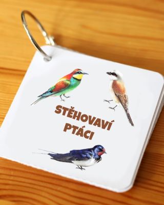 KAM TI PTÁCI LETÍ? 🦆🪿 Pojďte to zjistit s naším novým kapesním atlasem! Děti tak budou mít ty nejdůležitější ptačí...