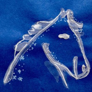 TIP NA SVATOMARTINSKÉ TVOŘENÍ: Svatomartinské obrázky kuchyňskou solí🧂. Nejprve si připravíme velice koncentrovaný solný...